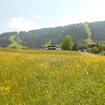 娃娃公寓 公寓